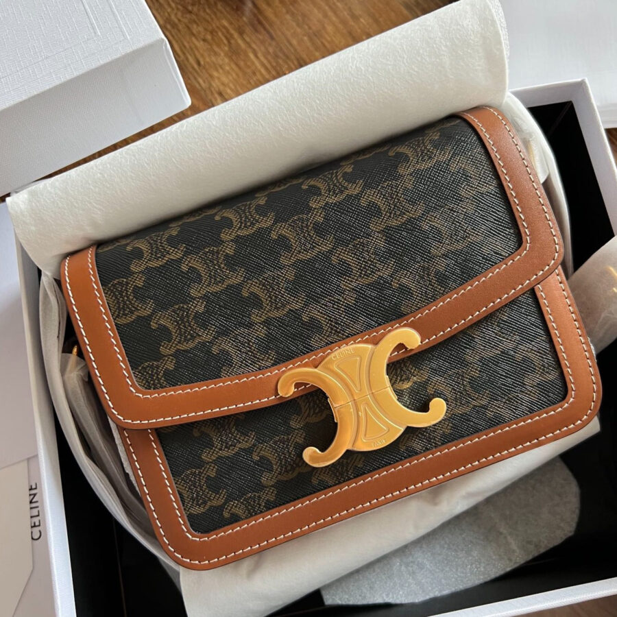 Celine Triomphe brown bag – front view